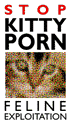 STOP KITTY PORN!